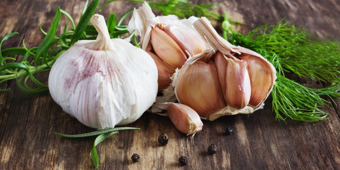 head of garlic and herbs on a wooden table close-up healthy food rustic style selective focus