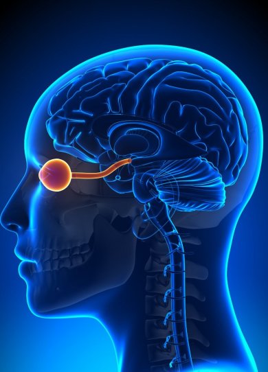 Tumeur cÃ©rÃ©brale : 5 signes visibles dans vos yeux