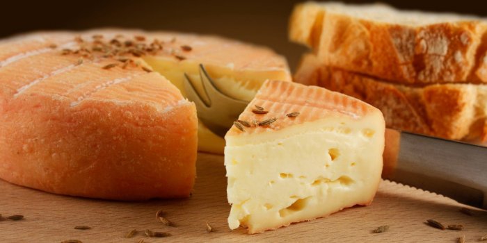 Salmonelle, Listeria : quels sont les fromages les plus risquÃ©s ?