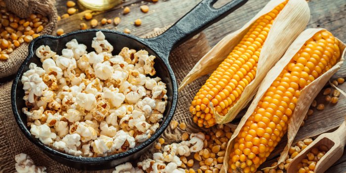 Maïs : 5 raisons santé de consommer cette céréale