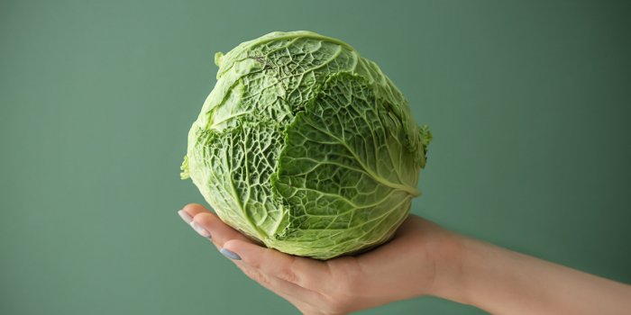 Choux, brocolis... Ces légumes pourraient protéger vos vaisseaux sanguins