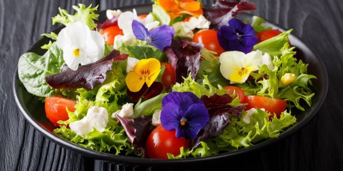 Salades : 12 aliments healthy pour les composer