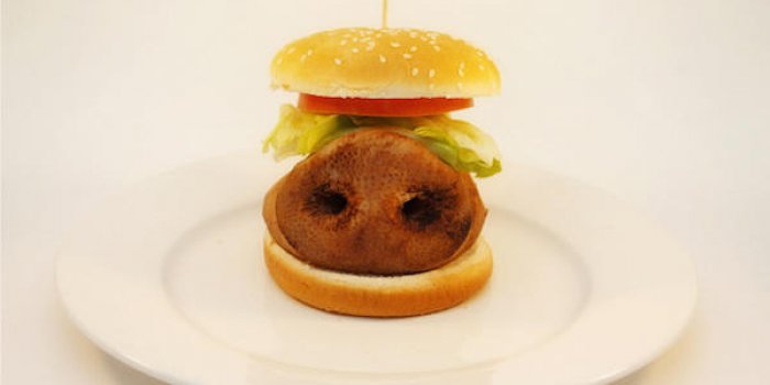 Le porc dans les hamburger