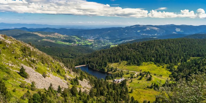 mountain landscape overlooking view from the gazon du faing on the forlet lake in the vosges mountains in summer, vosges...