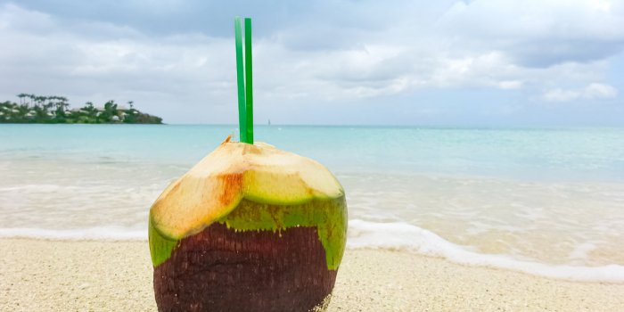 Les 7 bienfaits de l’eau de coco pour l’organisme 