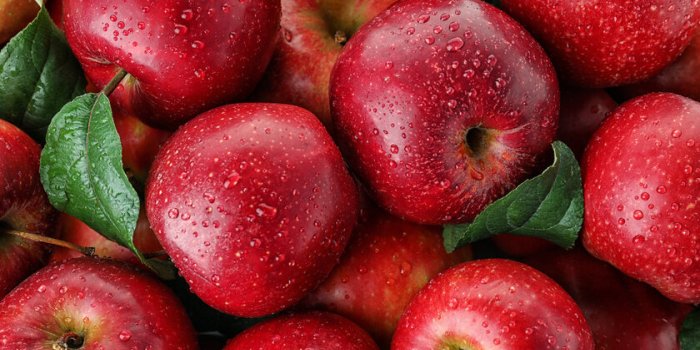 Maladies rÃ©nales chroniques : mangez des fruits et lÃ©gumes !