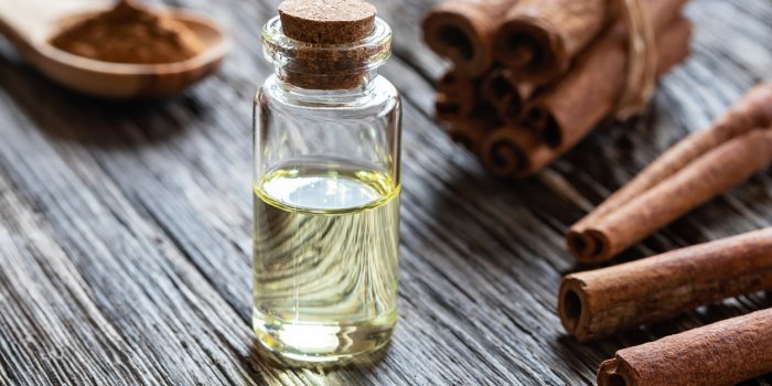 Alzheimer : 10 huiles essentielles qui vous protègent