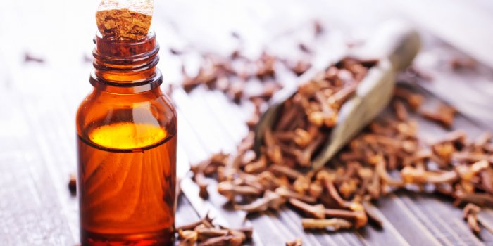 Alzheimer : 10 huiles essentielles qui vous protègent