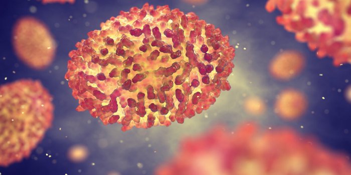 PandÃ©mie : 6 virus qui pourraient ressurgir avec le rÃ©chauffement climatique