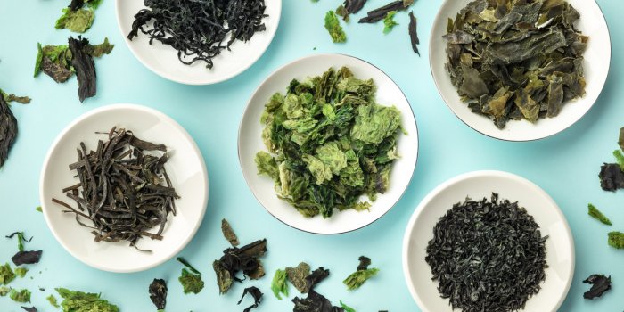various dry seaweed, sea vegetables, shot from above on a teal background