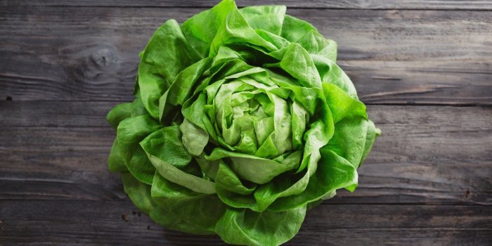 Salmonelle : les légumes à feuilles peuvent vous contaminer 
