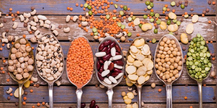 5 types d'aliments qui rÃ©duisent les risques de mort prÃ©maturÃ©e