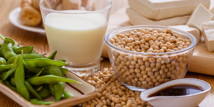 soy bean, tofu and other soy products