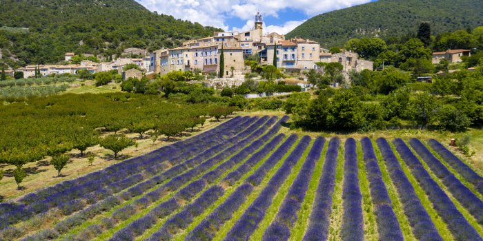 provence in france, lavender field and village of grigan