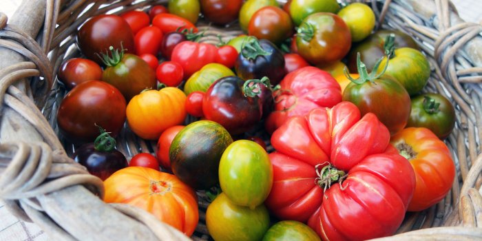 Tomate : 5 effets surprenants sur le corps quand on en mange souvent