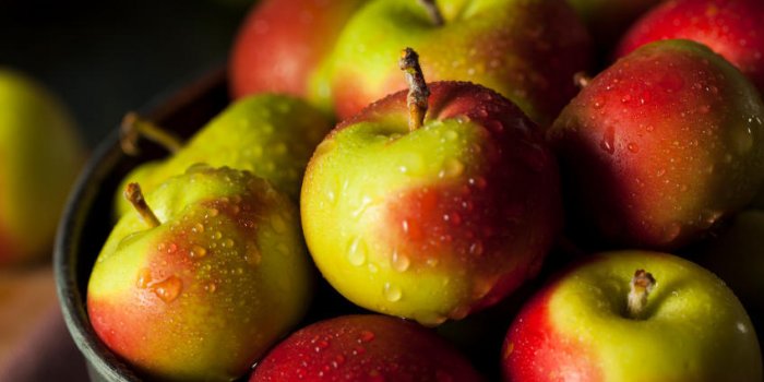La pomme, un fruit clÃ© de la protection intestinale