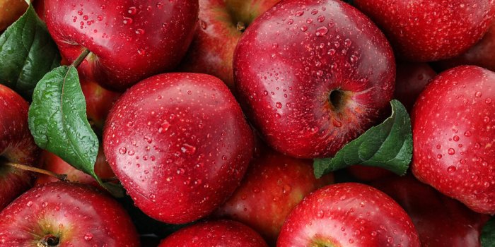 Pesticides : top 12 des fruits et lÃ©gumes qui en contiennent le plus en 2023