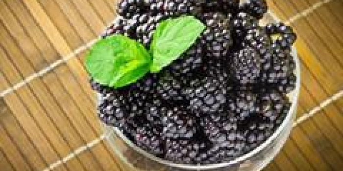 Les 10 fruits les plus riches en antioxydants