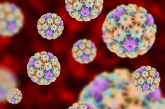 Papillomavirus femme-homme : symptomes, traitements, vaccin, transmission