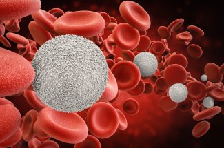 Leucocytes : globules blancs trop eleves ou bas, quel est le bon taux dans le sang ?