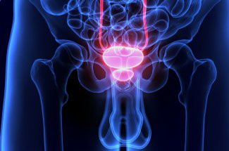 Adenome de la prostate : traitements, symptomes, causes, complications