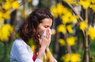 Pollens : pourquoi d-ici 2050 la moitie de votre foyer y sera certainement allergique