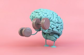 Cerveau : 5 cles de scientifique pour garder votre memoire le plus longtemps possible