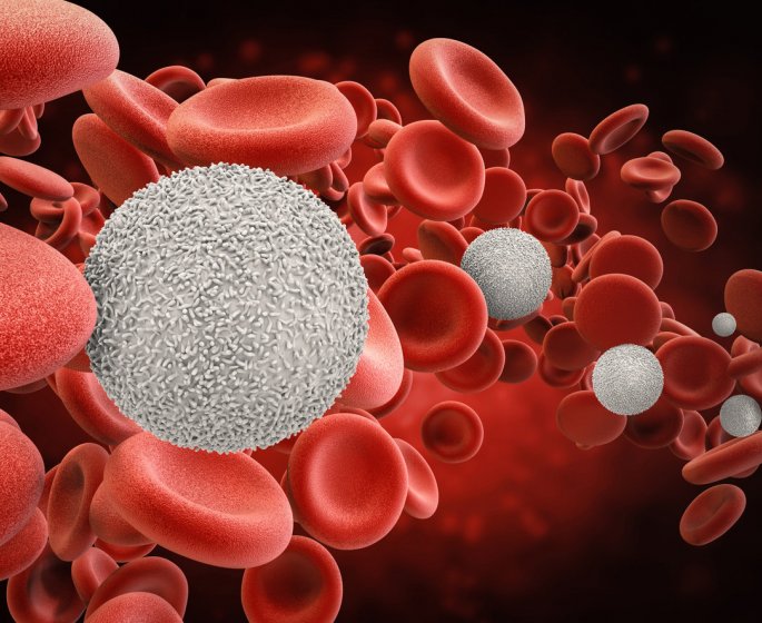 Leucocytes : globules blancs trop eleves ou bas, quel est le bon taux dans le sang ?