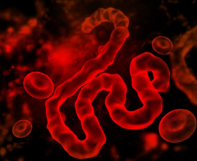 Virus Ebola : symptomes, origine, vaccin, une epidemie au Congo ?