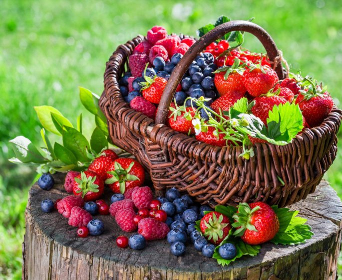Fruits rouges : des antioxydants naturels