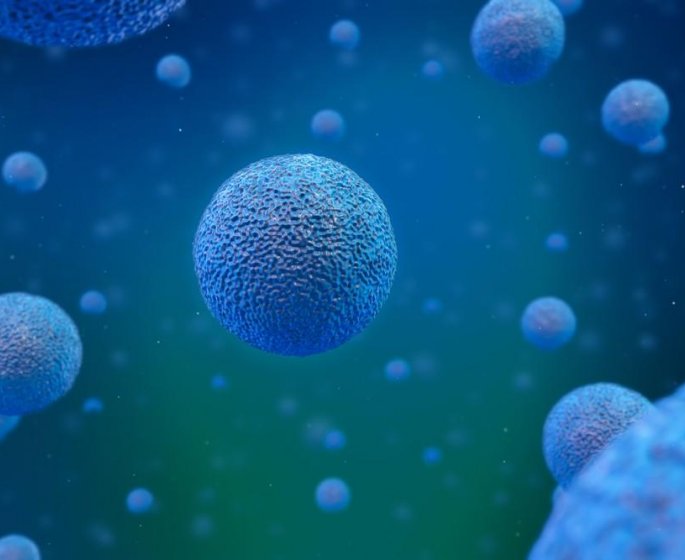 Cancer du foie : nos cellules sont determinantes dans son evolution