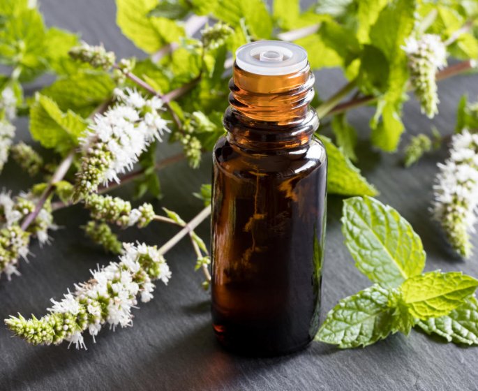 Aromatherapie : comment utiliser l-huile essentielle d-achillee millefeuille ?