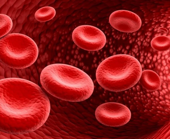 Hemochromatose : 5 solutions quand on a trop de fer dans le sang