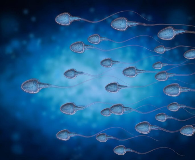 Spermogramme : bien comprendre ses resultats