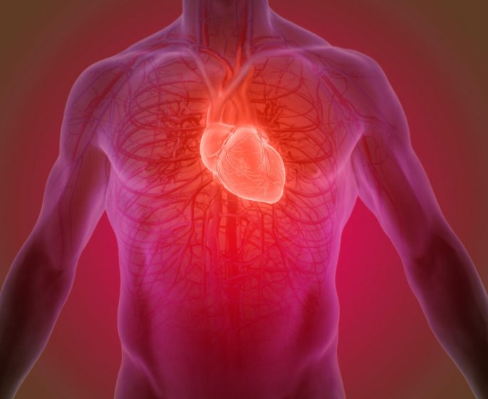 Les personnes les plus a risque de mourir d’une crise cardiaque