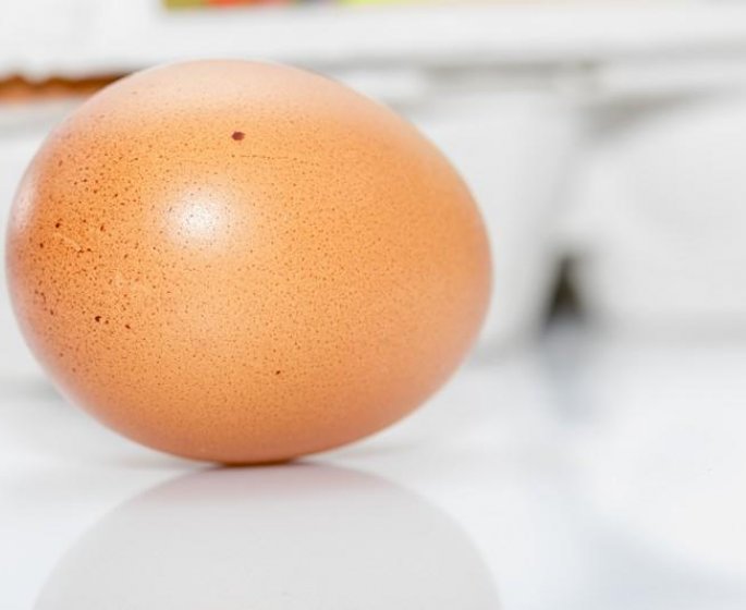 Record : en France, une poule a pondu un oeuf de plus de 200 grammes