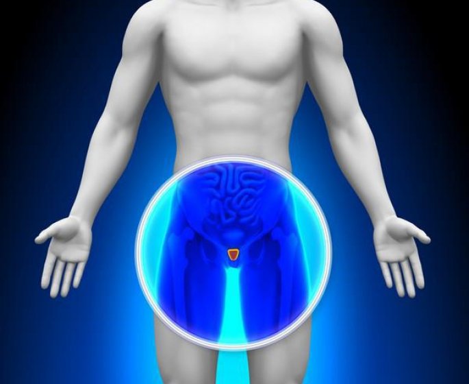 Prostatite aigue, chronique : symptomes, causes, traitements
