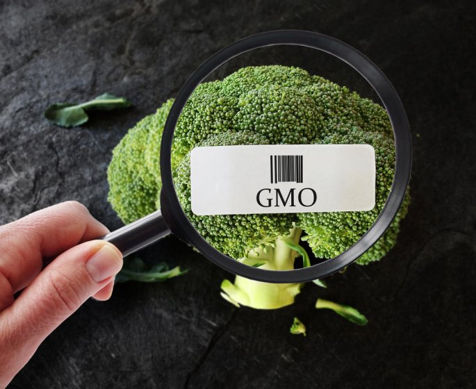 OGM : n’avalez pas n’importe quoi