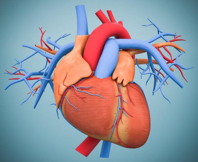 Arythmie cardiaque: la cause principale