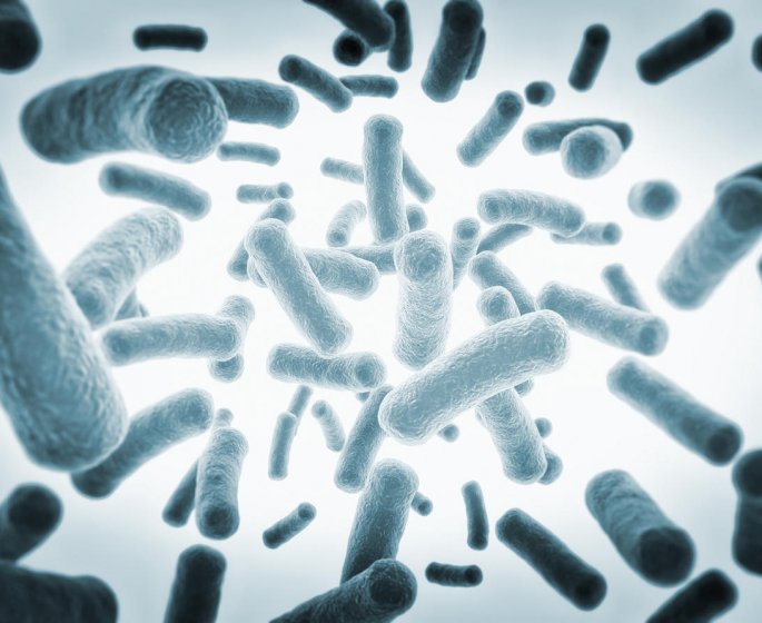 Gastro-enterite : les probiotiques inefficaces pour retablir la flore intestinale ?