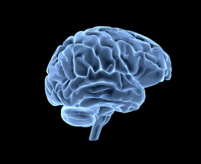 Cancer du cerveau (tumeur cerebrale) : symptomes, causes, traitements