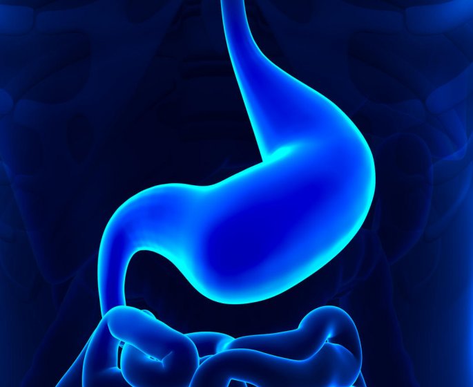 Cancer de l-estomac : le traitement par gastrectomie