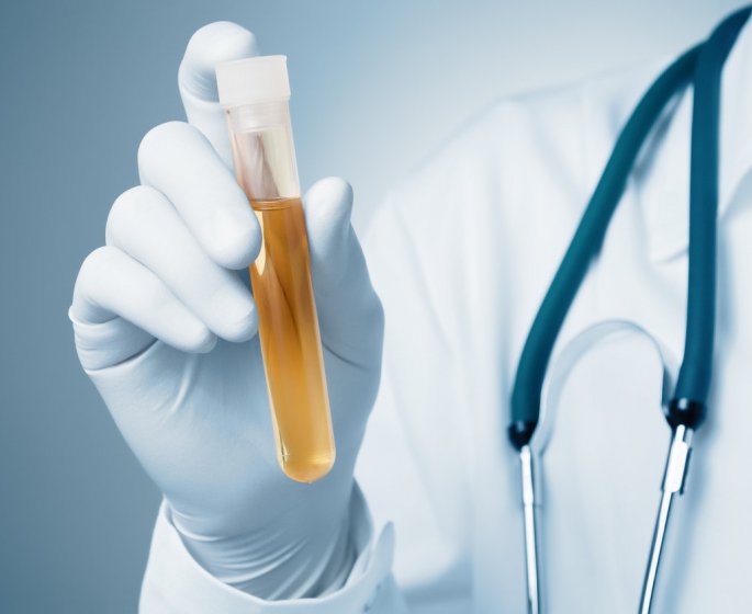 Sang dans les urines : causes et traitements d’une hematurie