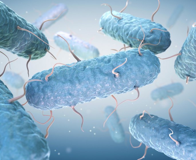 Bacteries mangeuses de chair : les endroits ou vous pouvez les attraper