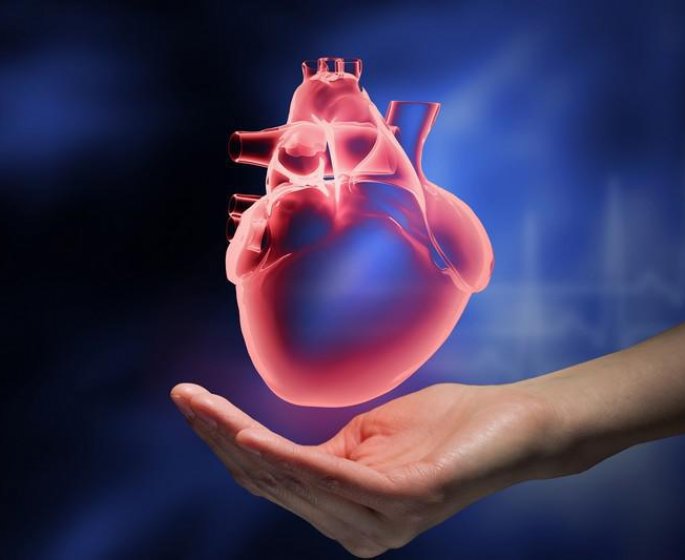 Arythmie : les chiffres de la frequence cardiaque