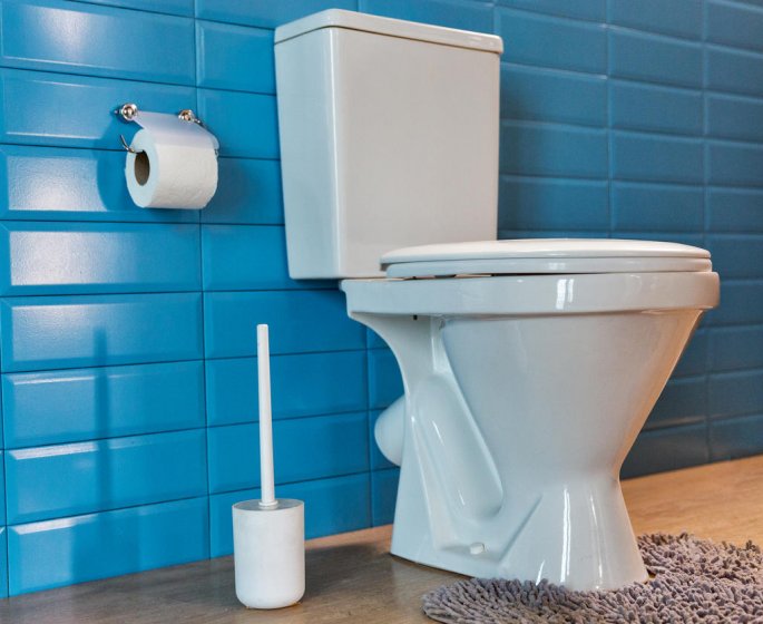 5 erreurs qui contaminent vos toilettes