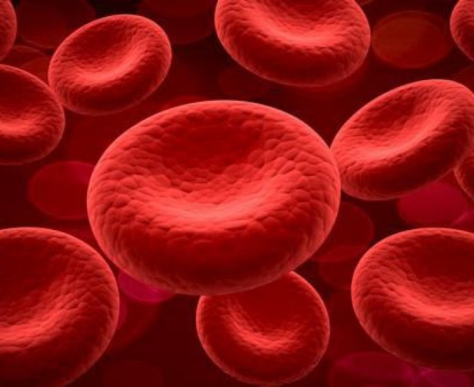 Maladie du sang : qu-est-ce que la leucemie ?