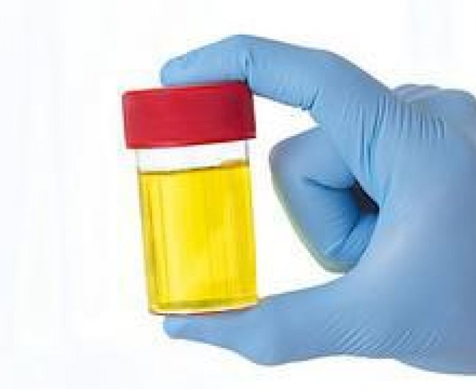 Savez-vous ce qu-il y a dans votre urine ?