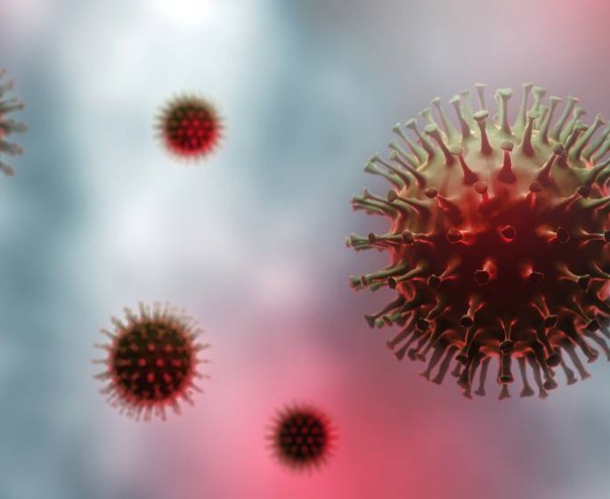 Grippe aviaire H3N8 : un premier cas detecte chez l’etre humain