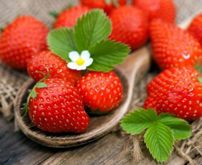 Boutons : un symptome d-allergie aux fraises